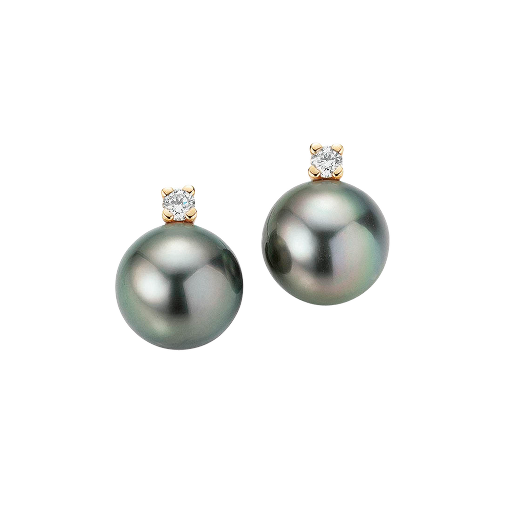 Gellner H2O stud earrings