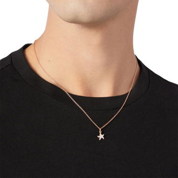  0006 DMC3002 STARS EPB9R 110 Dodo star charm rose gold cathedral effect mother of pearl enamel f64b048214d0d541f