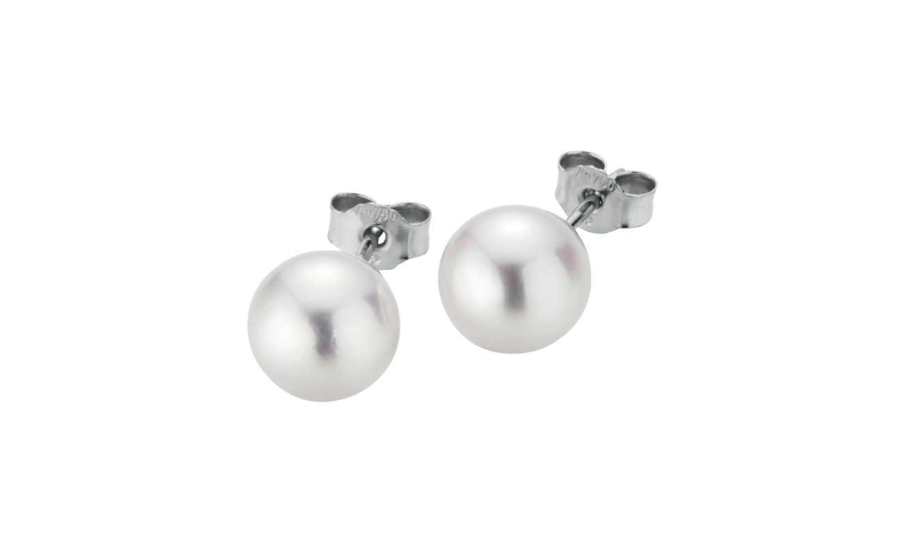 Gellner Basics Ohrstecker Gellner Basics Ohrstecker