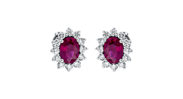 Brogle Selection Rubinohrstecker