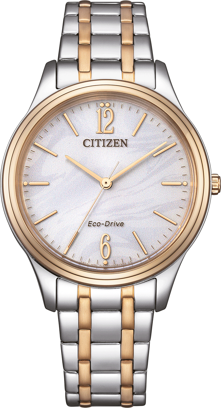 Citizen Basic Eco-Drive 34mm