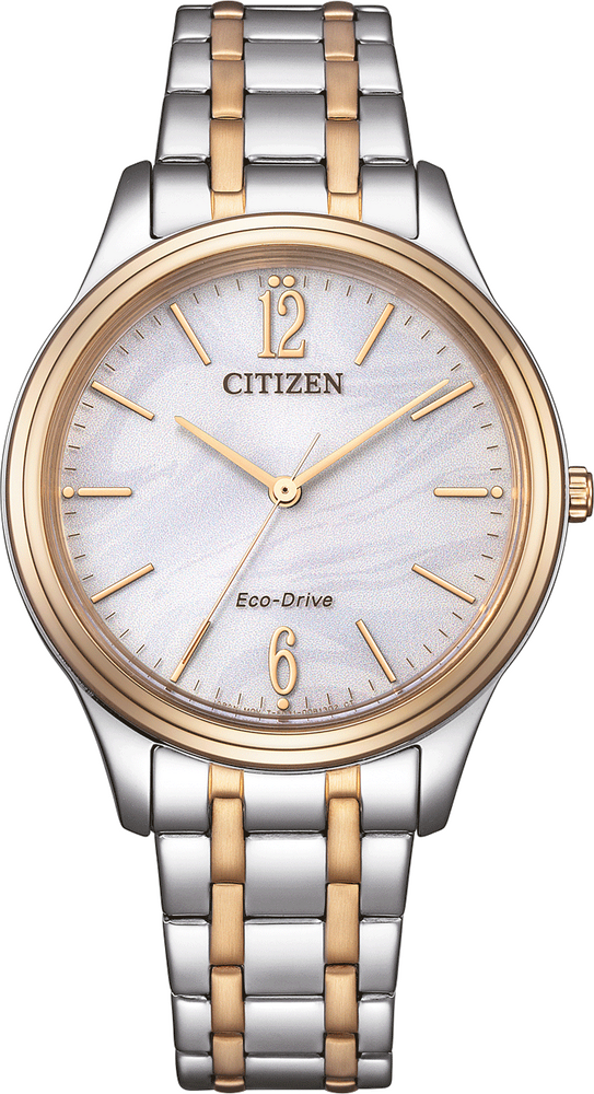 Citizen Basic Eco-Drive 34mm