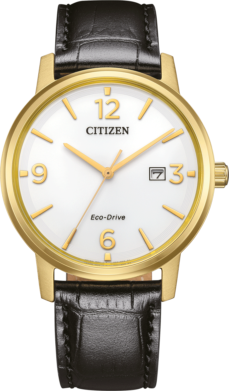 Citizen Elegant Men's 40mm