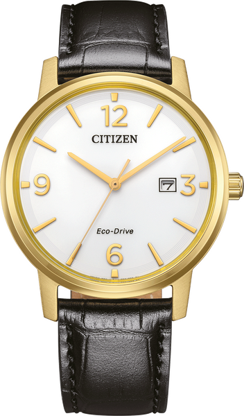 Citizen Elegant Men's 40mm