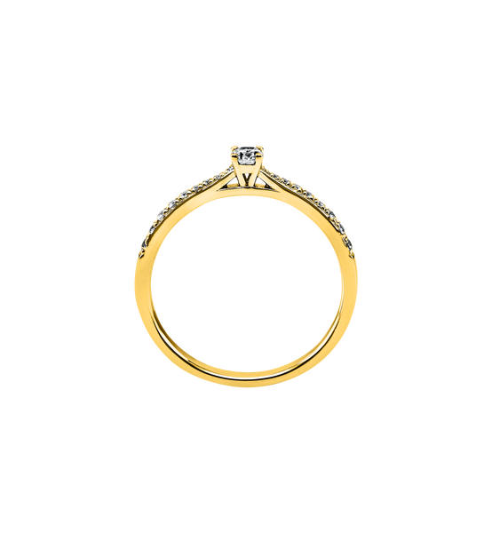 1a422g s1 q66613db838741513