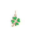 Dodo Shamrock Charm