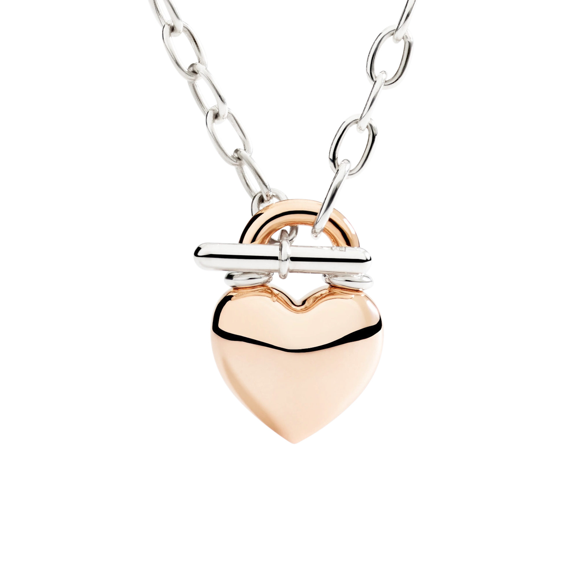 Dodo heart necklace Dodo heart necklace