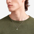 Dodo four-leaf clover cameo Pendant