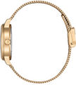 Citizen Elegant Eco-Drive 31mm