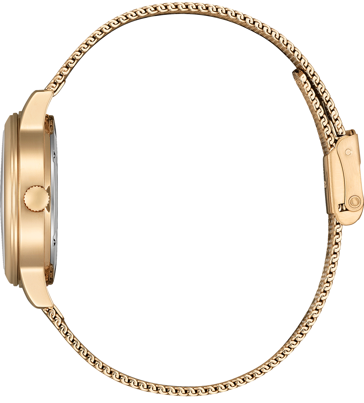 Citizen Elegant Eco-Drive 31mm Citizen Elegant Eco-Drive 31mm